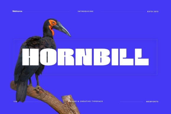 Hornbill: A Display Font That Brings Confidence to Web Design